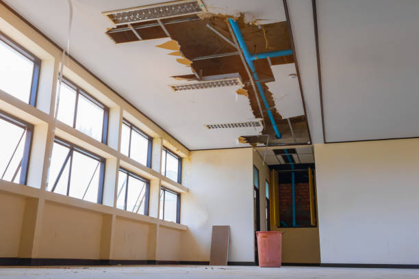 Best Carpet water damage restoration  in Venice, IL
