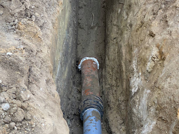 Best Basement water damage restoration  in Venice, IL
