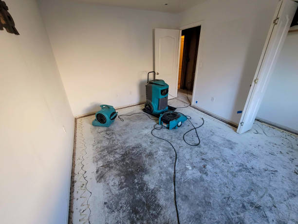 Best Water damage mitigation services  in Venice, IL