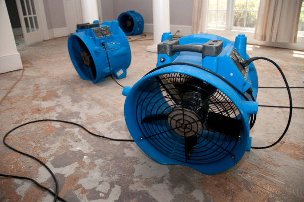 Best Water damage repair service  in Venice, IL