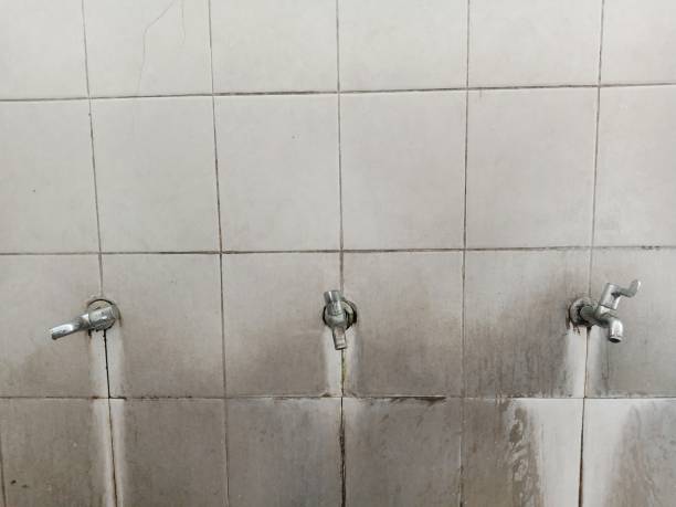 Best 24/7 water damage repair  in Venice, IL