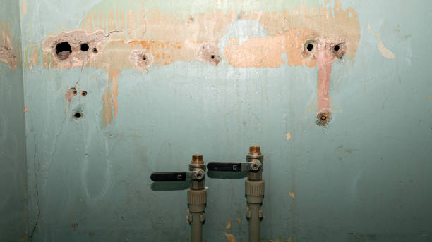 Best Professional water damage repair  in Venice, IL
