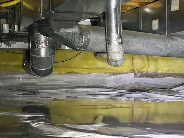 Best Ceiling water damage repair  in Venice, IL