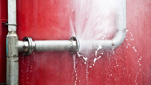 Best Fire Damage Restoration  in Venice, IL